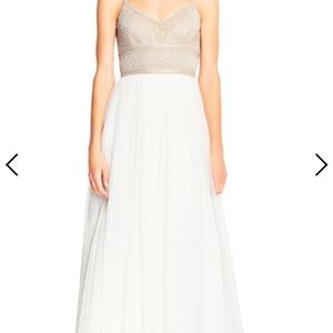 Adrianna Papell Gown NWT